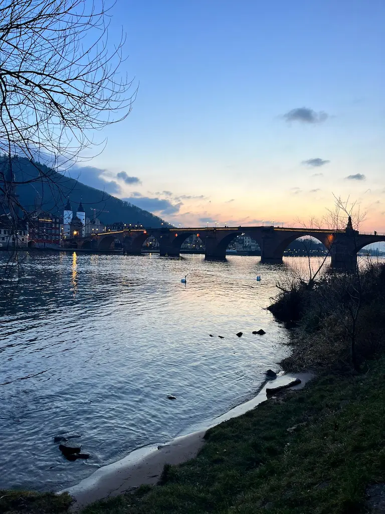 Bild der Alten Brücke zu Heidelberg